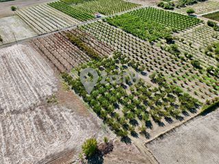 Αγροτεμάχια 7.650 τ.μ. για πώληση, Ημαθία, Νάουσα-thumb-8