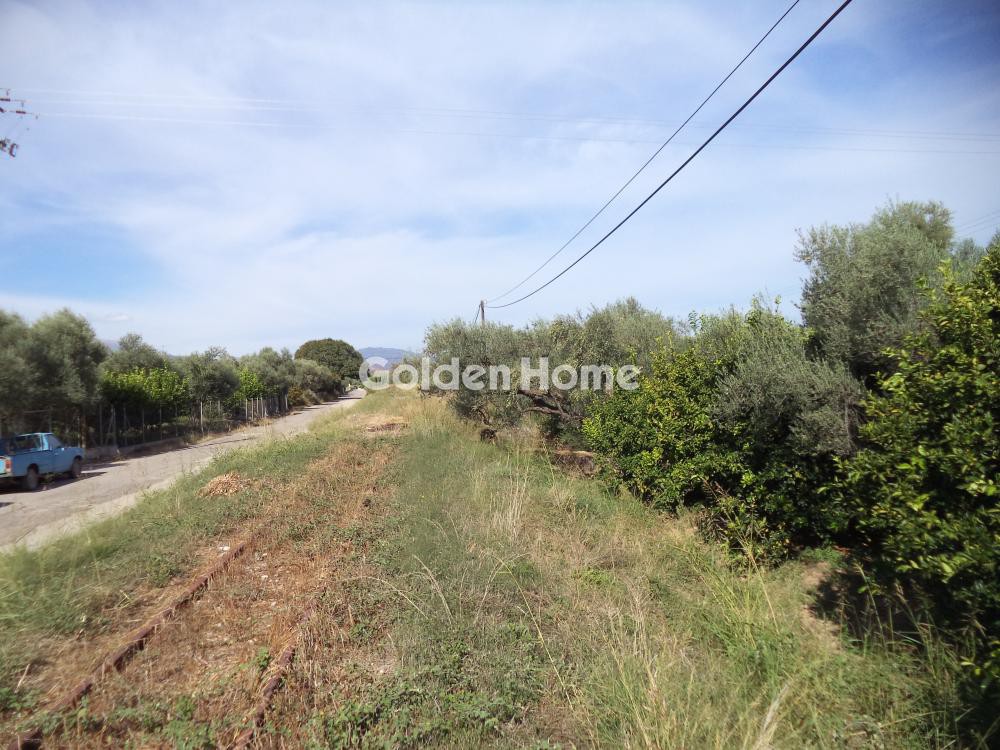Αγροτεμάχια 3.824 τ.μ. πρός πώληση, Αχαΐα, Αίγιο