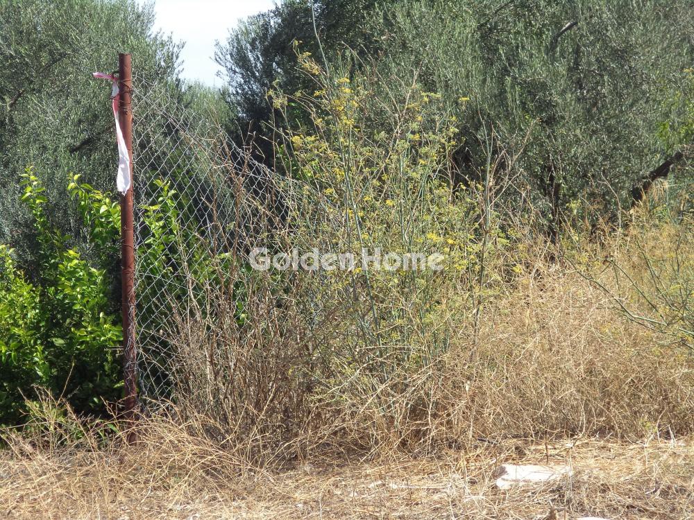 Αγροτεμάχια 3.824 τ.μ. πρός πώληση, Αχαΐα, Αίγιο