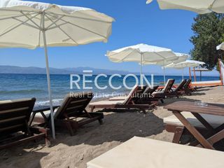 Studio / γκαρσονιέρα 30 τ.μ. για ενοικίαση, Εύβοια, Αμάρυνθος-thumb-6