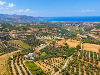 Οικόπεδο 6.200 τ.μ. για πώληση