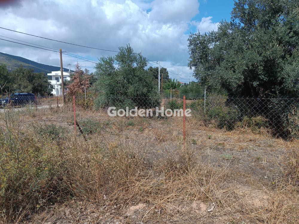 Οικόπεδο 250 τ.μ. προς πώληση, Τρίγωνο Λαγού