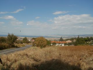 Αγροτεμάχια 4.250 τ.μ. για πώληση