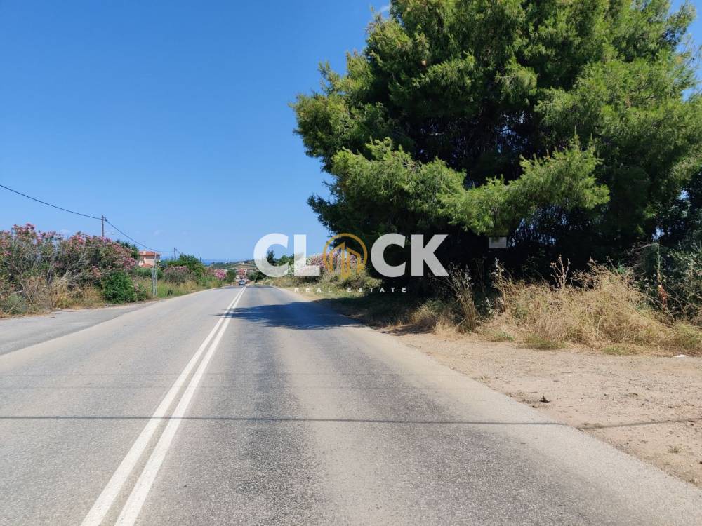 Αγροτεμάχια 4.000 τ.μ. πρός πώληση, Χαλκιδική, Κασσάνδρα