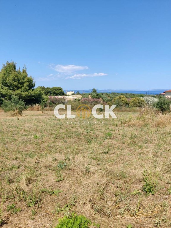 Αγροτεμάχια 4.000 τ.μ. πρός πώληση, Χαλκιδική, Κασσάνδρα
