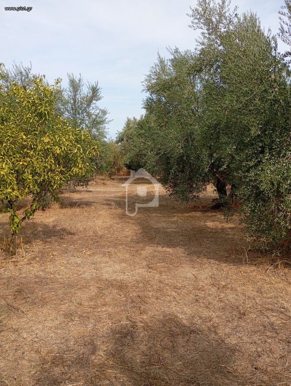Οικόπεδο 4.200 τ.μ. πρός πώληση, Αιτωλοακαρνανία, Αγρίνιο