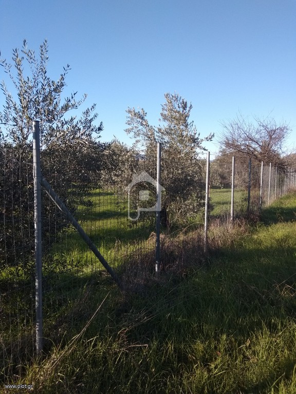 Οικόπεδο 4.200 τ.μ. πρός πώληση, Αιτωλοακαρνανία, Αγρίνιο