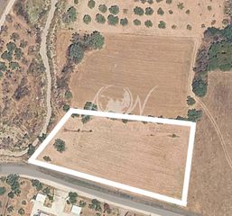 Αγροτεμάχια 5.640 τ.μ. για πώληση