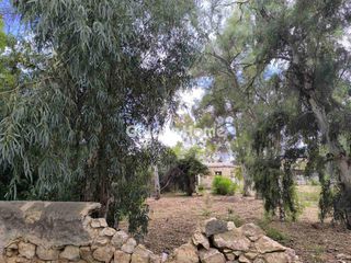 Land plot 1.427 sqm for sale