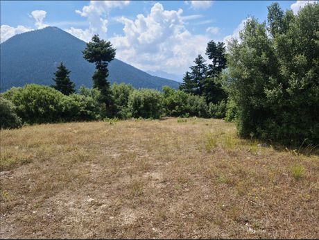 Αγροτεμάχια 13.840 τ.μ. προς πώληση