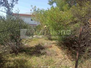 Land plot 297 sqm for sale