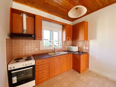 Apartment 60 sqm for rent
