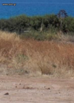 Οικόπεδο 4.800 τ.μ. για πώληση, Αττική - Υπόλοιπο, Λεγρενά