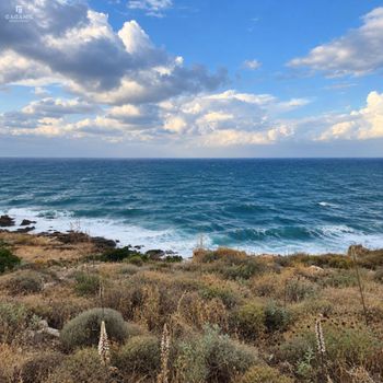 Αγροτεμάχια 8.300 τ.μ. προς πώληση