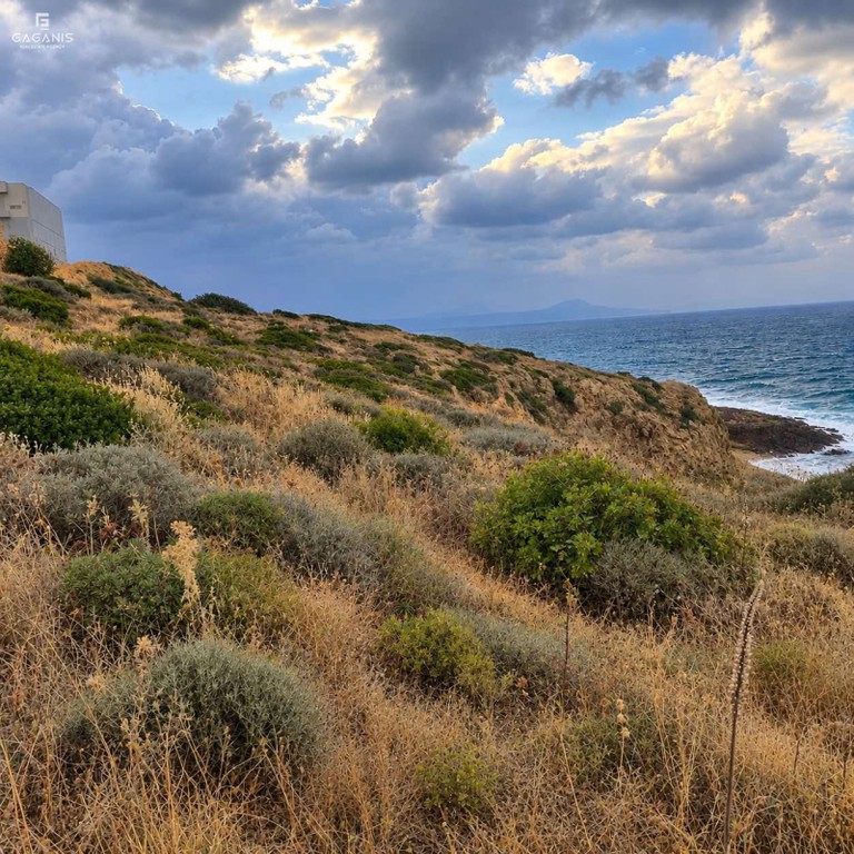 Αγροτεμάχια 8.300 τ.μ. πρός πώληση, Ν. Ρεθύμνου, Νικηφόρος Φωκάς