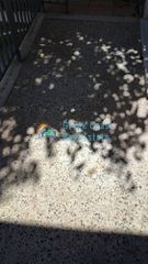 Διαμέρισμα 52 τ.μ. για ενοικίαση, Αχαΐα, Πάτρα-thumb-29