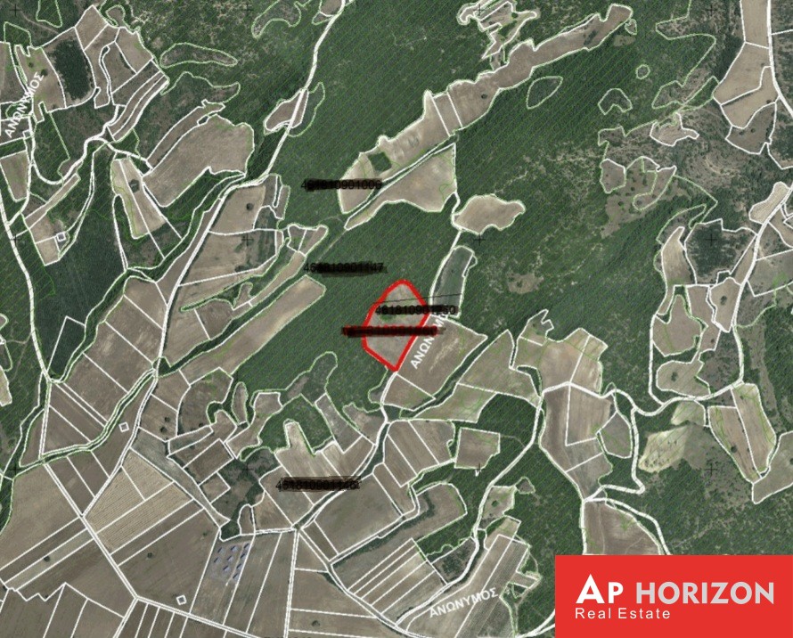 Αγροτεμάχια 13.060 τ.μ. πρός πώληση, Φθιώτιδας, Δομοκός