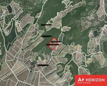Αγροτεμάχια 13.060 τ.μ. προς πώληση