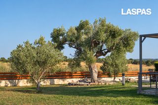 Βίλλα 99 τ.μ. προς πώληση, Χαλκιδική, Κασσάνδρα-thumb-25