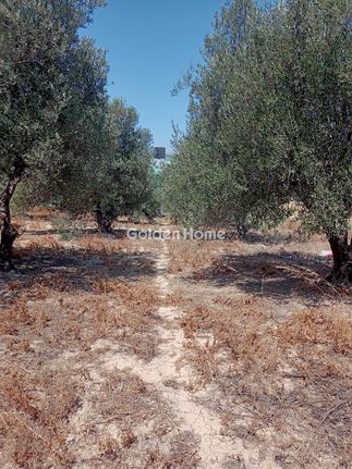 Οικόπεδο 2.615 τ.μ. για πώληση, Ν. Ηρακλείου, Τυμπάκι