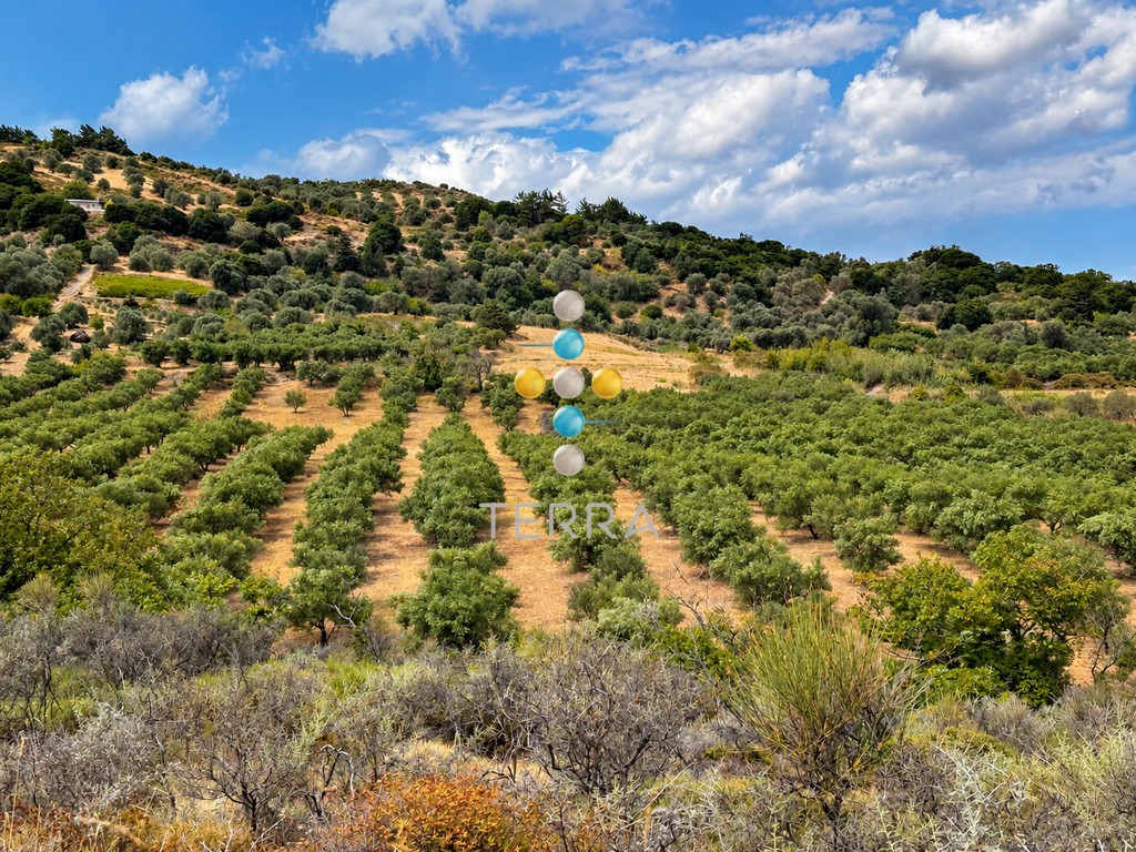 Αγροτεμάχια 25.024 τ.μ. πρός πώληση, Ν. Ρεθύμνου, Λάμπη
