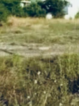 Οικόπεδο 1.286 τ.μ. προς πώληση