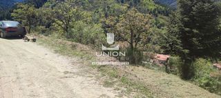 Οικόπεδο 1.690,63 τ.μ. προς πώληση, Ζαρούχλα-thumb-6