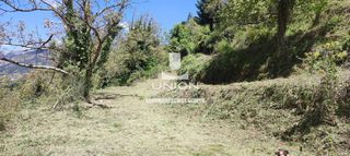 Οικόπεδο 1.690,63 τ.μ. προς πώληση, Ζαρούχλα-thumb-23