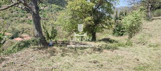 Οικόπεδο 1.690,63 τ.μ. προς πώληση, Ζαρούχλα-thumb-14