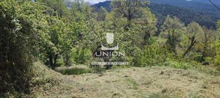 Οικόπεδο 1.690,63 τ.μ. προς πώληση, Ζαρούχλα-thumb-17
