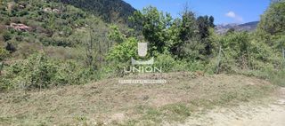 Οικόπεδο 1.690,63 τ.μ. προς πώληση, Ζαρούχλα-thumb-11