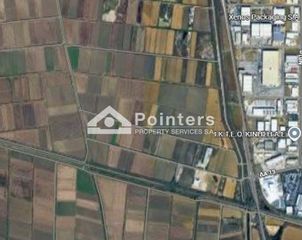 Αγροτεμάχια 40.500 τ.μ. προς πώληση