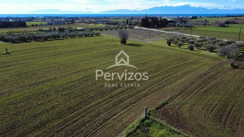 Αγροτεμάχια 5.930 τ.μ. πρός πώληση, Θεσσαλονίκη - Περιφ/Κοί Δήμοι, Επανομή
