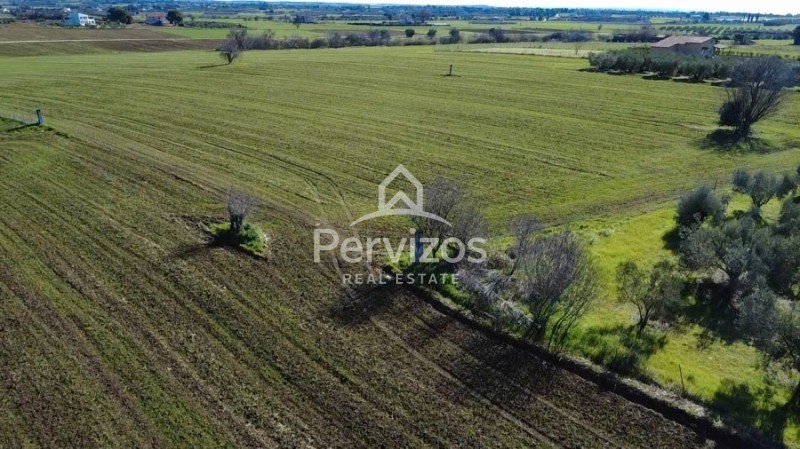 Αγροτεμάχια 5.930 τ.μ. πρός πώληση, Θεσσαλονίκη - Περιφ/Κοί Δήμοι, Επανομή