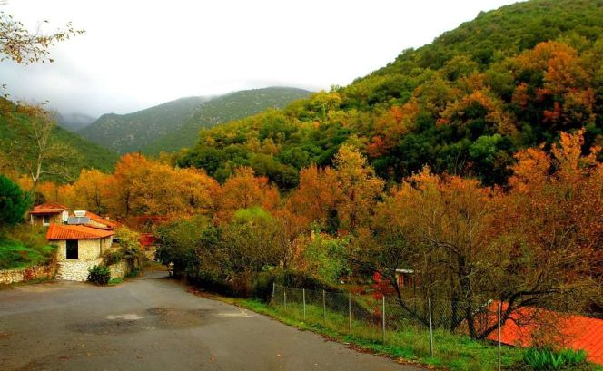 Άλλο 6.600 τ.μ. για πώληση, Μεσσηνία, Οιχαλία
