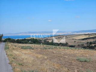 Αγροτεμάχια 11.250 τ.μ. για πώληση