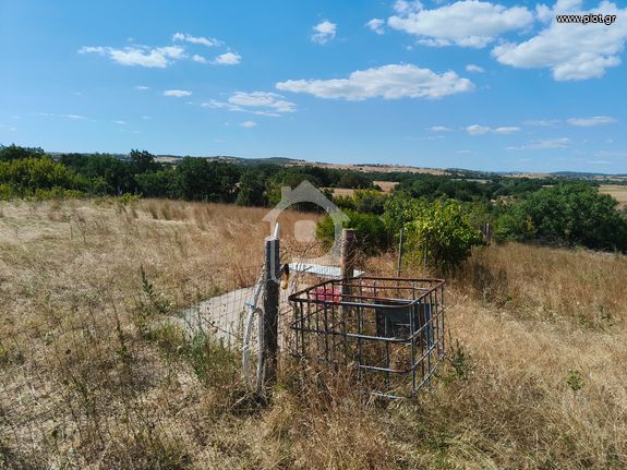 Αγροτεμάχια 1.500 τ.μ. για πώληση, Εβρος, Φέρες