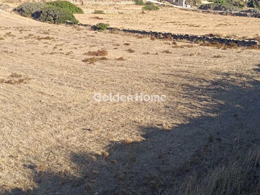 Αγροτεμάχια 5.346 τ.μ. προς πώληση, Σωτήρες