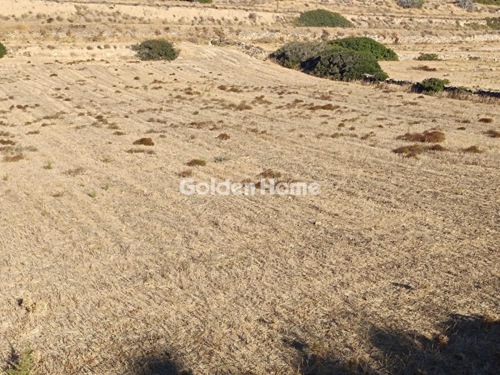 Αγροτεμάχια 5.346 τ.μ. προς πώληση, Σωτήρες