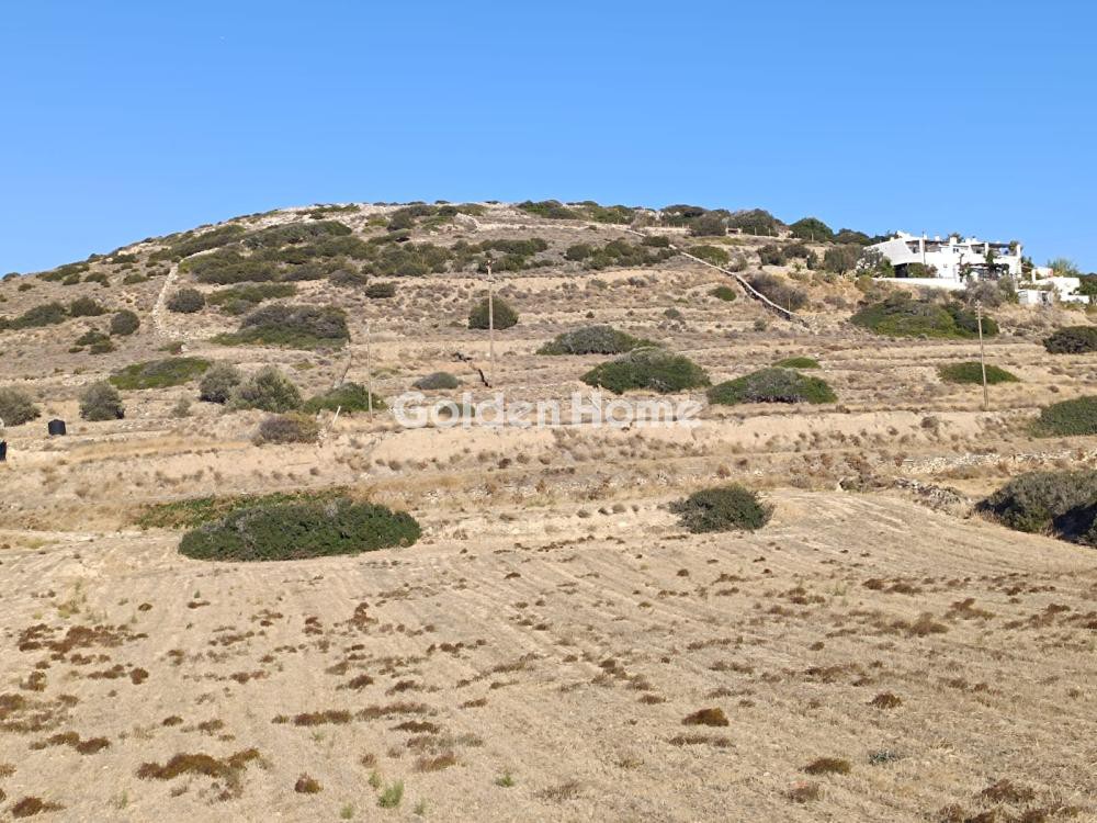 Αγροτεμάχια 5.346 τ.μ. προς πώληση, Σωτήρες