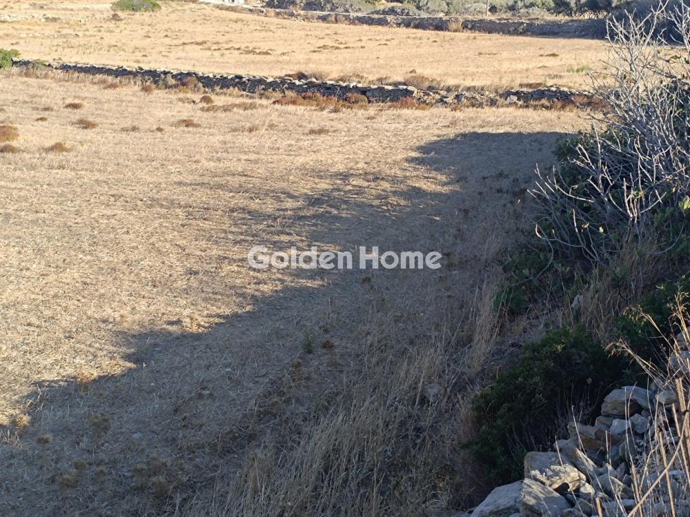 Αγροτεμάχια 5.346 τ.μ. προς πώληση, Σωτήρες