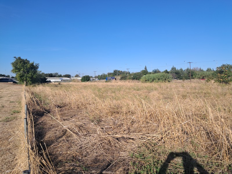 Αγροτεμάχια 10.500 τ.μ. πρός πώληση, Θεσσαλονίκη - Περιφ/Κοί Δήμοι, Εχέδωρος