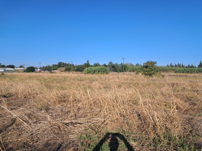 Αγροτεμάχια 10.500 τ.μ. πρός πώληση, Θεσσαλονίκη - Περιφ/Κοί Δήμοι, Εχέδωρος