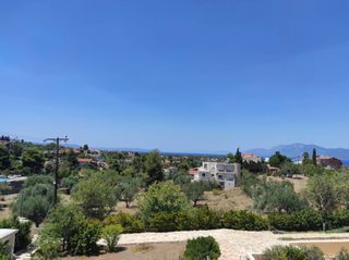 Μονοκατοικία 245 τ.μ. πρός πώληση, Εύβοια, Ανθηδώνος-thumb-8