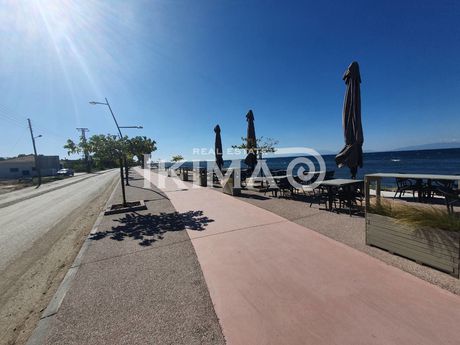 Studio 41 sqm for sale