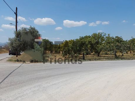 Αγροτεμάχια 9.000 τ.μ. πρός πώληση