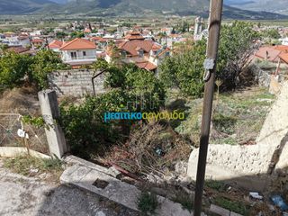 Οικόπεδο 490,92 τ.μ. για πώληση, Κορινθία, Νεμέα-thumb-15