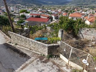 Οικόπεδο 490,92 τ.μ. για πώληση, Κορινθία, Νεμέα-thumb-21
