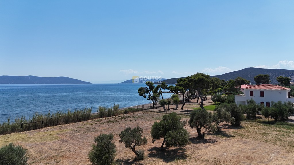 Οικόπεδο 6.240 τ.μ. προς πώληση, Θερμησία