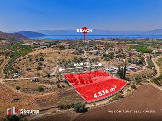 Αγροτεμάχια 4.536 τ.μ. για πώληση
